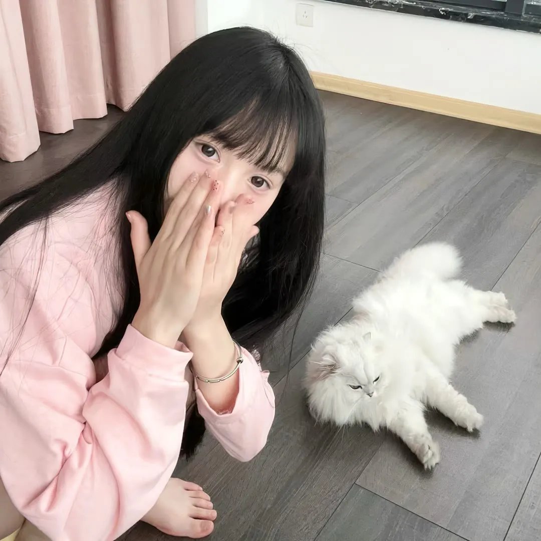 犯罪家谱